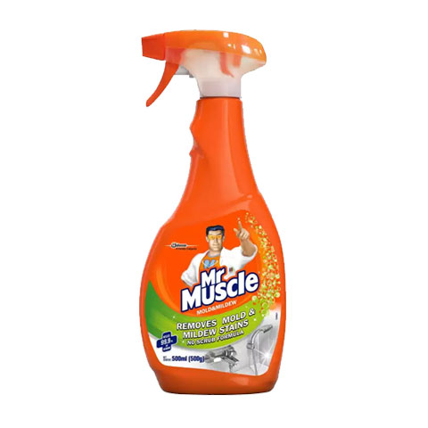 Mold & Mildew
