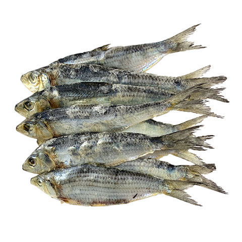 Dried Lapad Tuyo