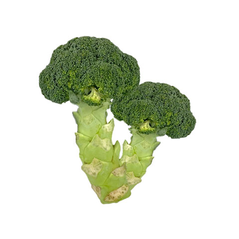 Broccoli