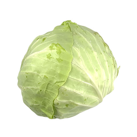 Cabbage
