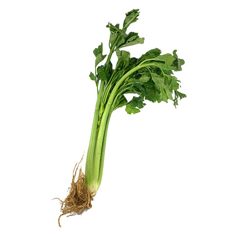 Celery