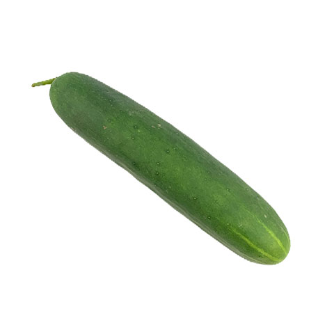Cucumber