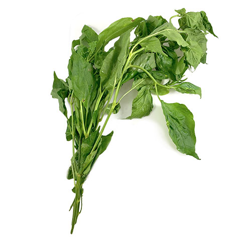 Dahon ng Sili