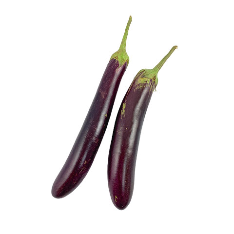 Eggplant
