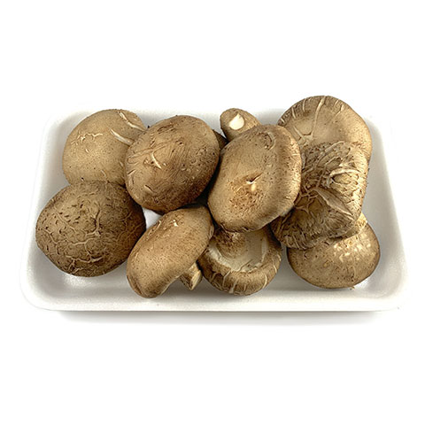 Fresh Shitake Mushroom
