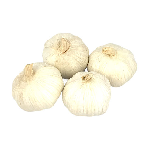 Garlic Taiwan