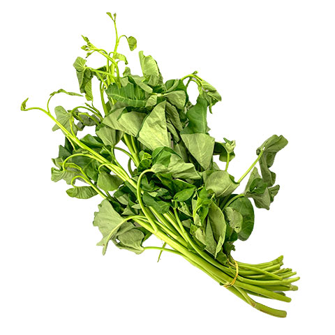 Kangkong