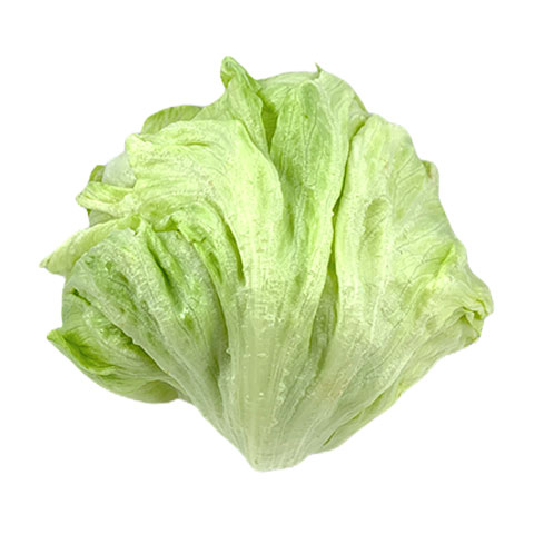 Lettuce Iceberg
