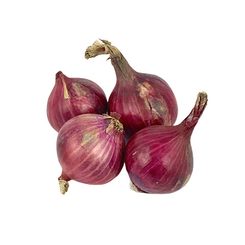 Onion Red