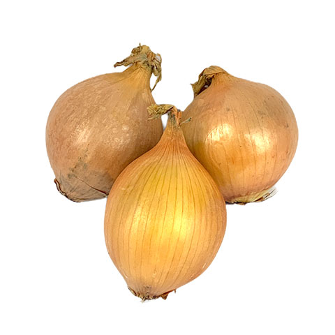 Onion White