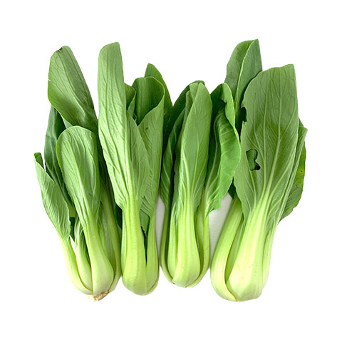 Pechay Taiwan Bokchoy