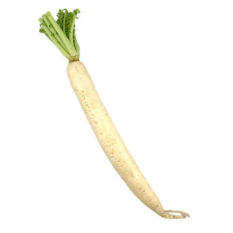 Radish