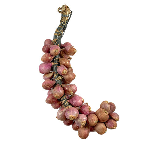 Shallots