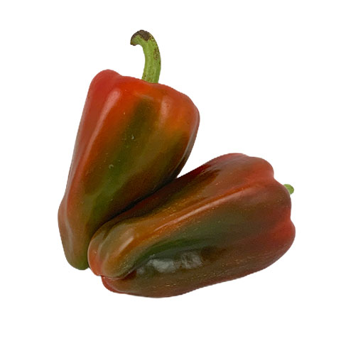 Sili Red