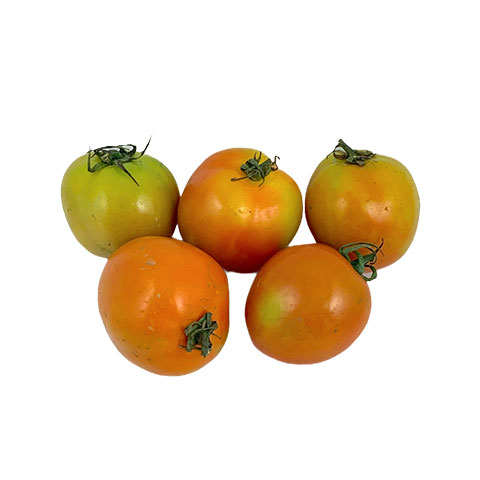 Tomatoes