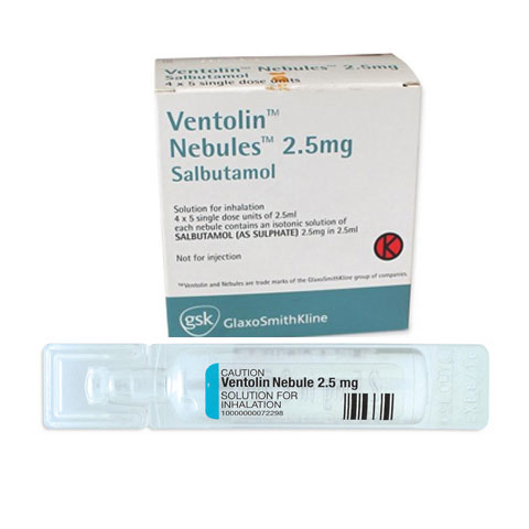 Salbutamol Nebules 2.5 mg