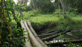 Arakal Heritage, Kerala