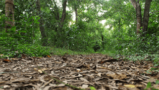 Arakal Heritage, Kerala