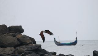 Arakal Heritage, Kerala