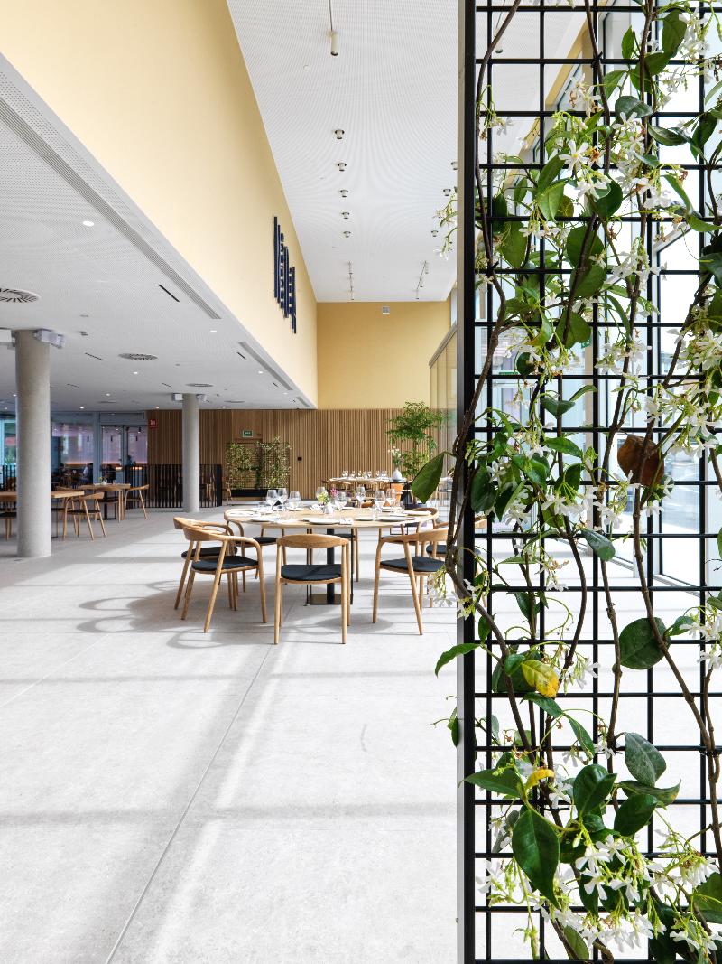 This is the image of the Noa Boutique Hotel #1