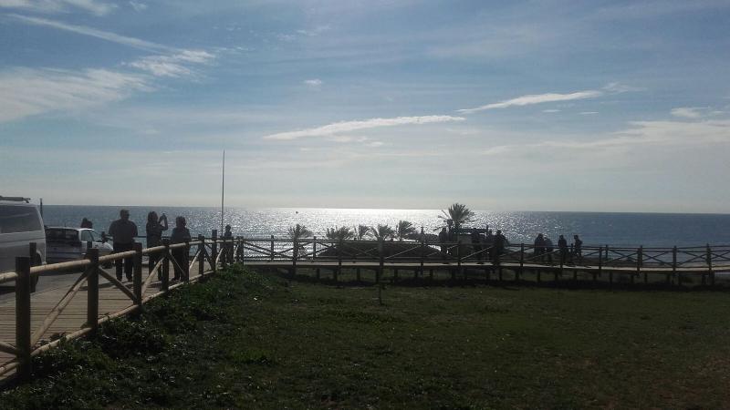 This is the image of the Apartment in Marbella, Malaga 102960 #4