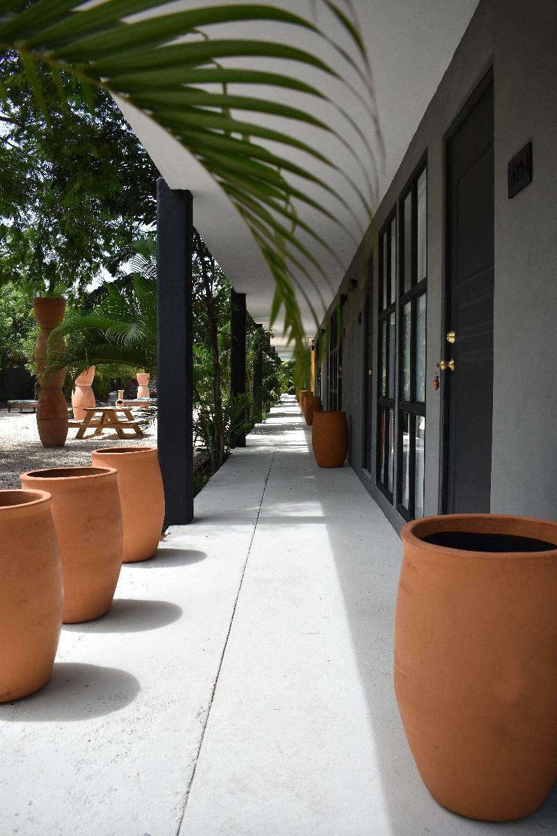 This is the image of the BARRO NEGRO #1