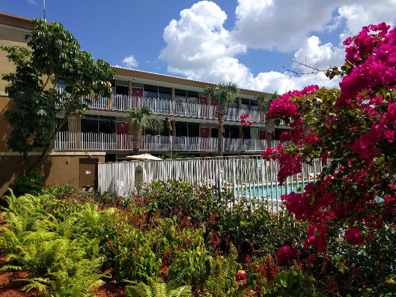 This is the image of the Red Carpet Inn Airport / Cruise Port #1