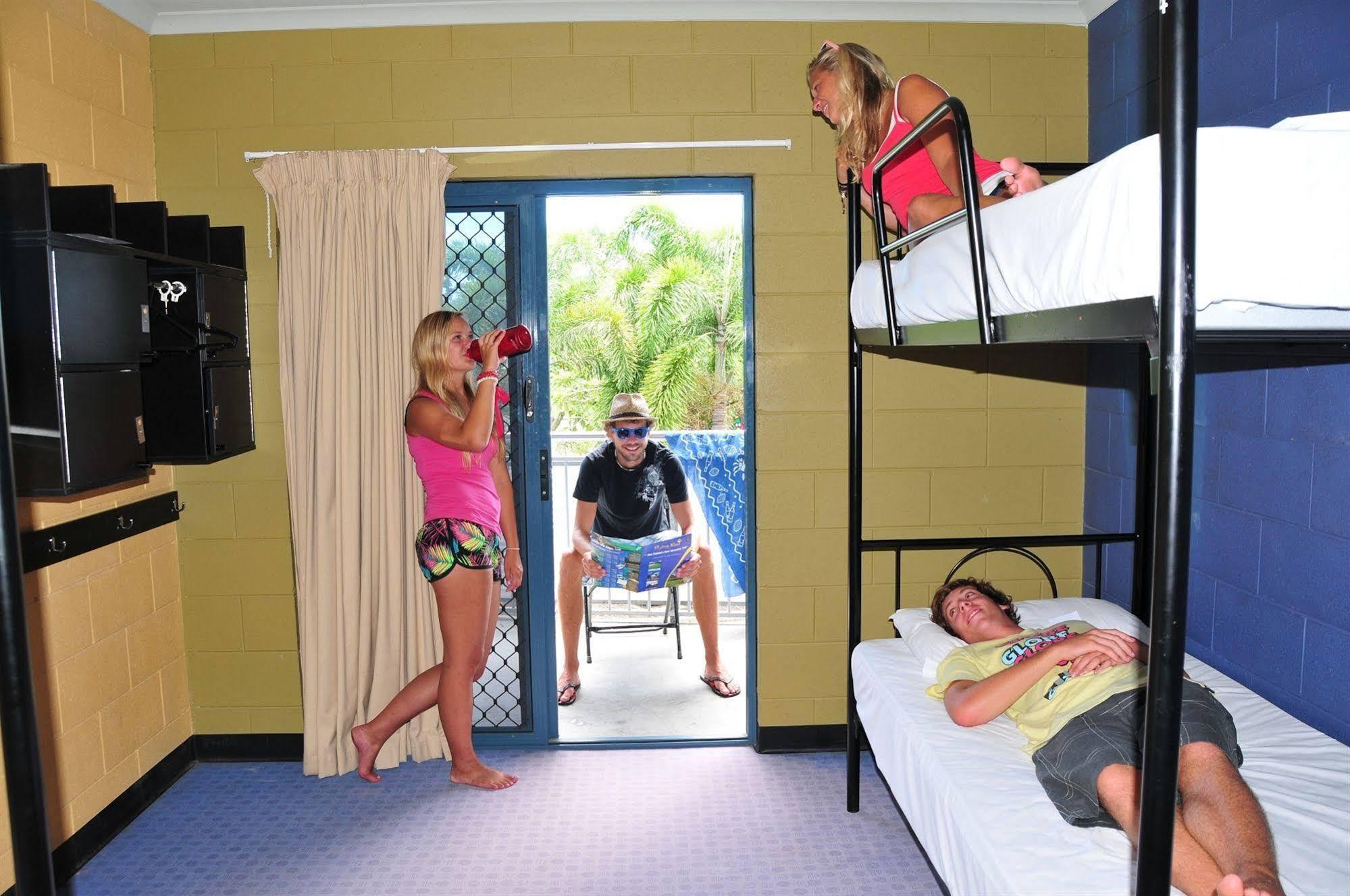 This is the image of the Nomads Cairns Backpackers - Serpent #3