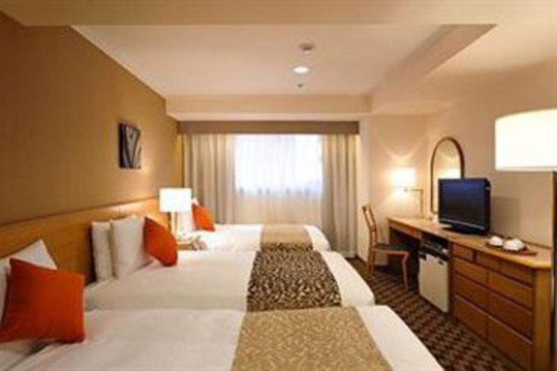 This is the image of the Ginza Nikko Hotel #5