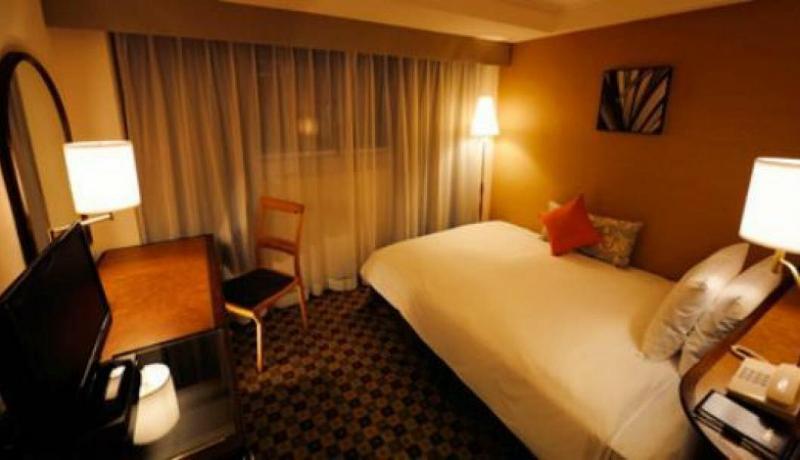 This is the image of the Ginza Nikko Hotel #3