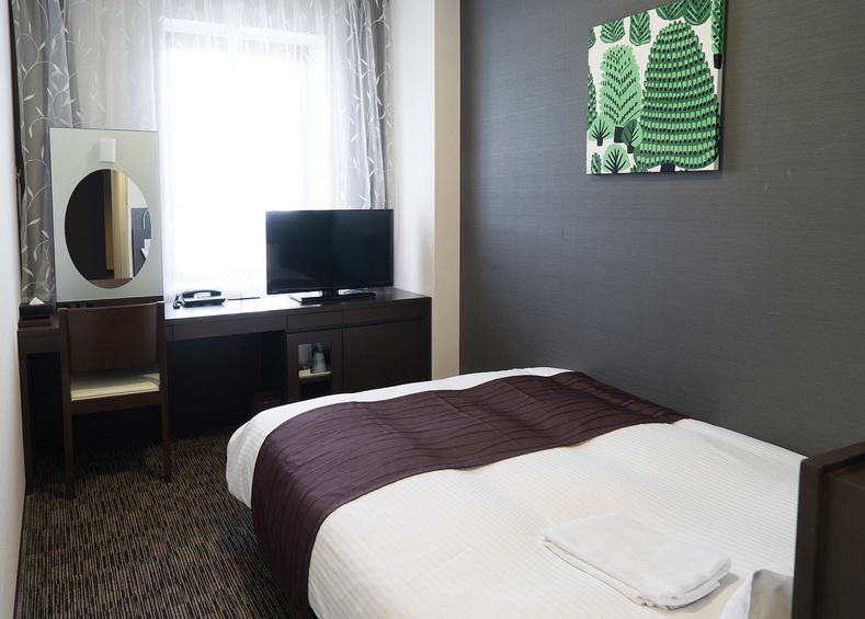 This is the image of the Osaka Airterminal Hotel #5