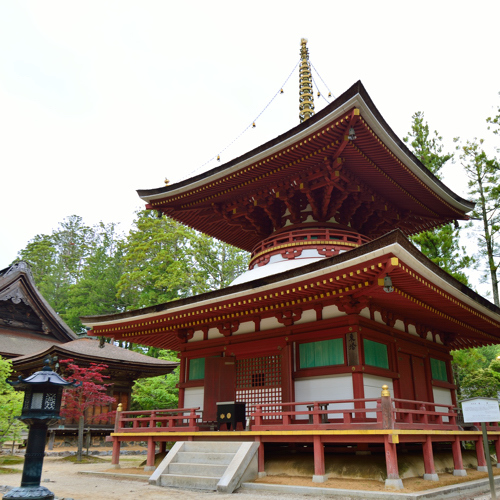 This is the image of the Sanso Amanosato #1