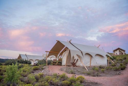 This is the image of the Under Canvas Zion #2