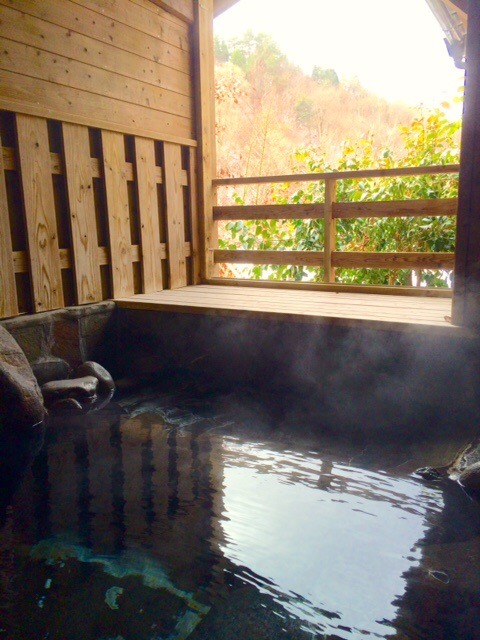 This is the image of the Shugojin Onsen #4