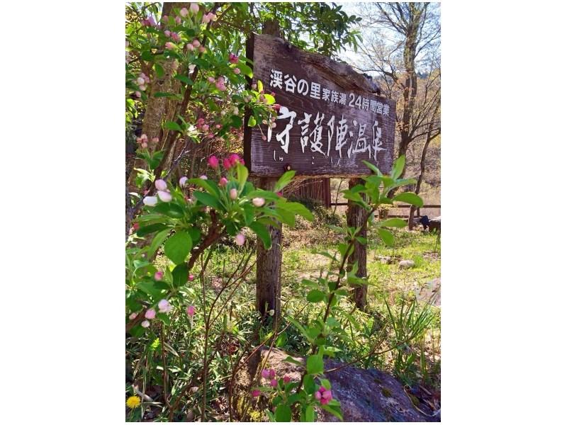 This is the image of the Shugojin Onsen #1