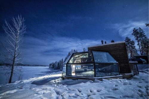 This is the image of the Arctic Fox Igloos #2