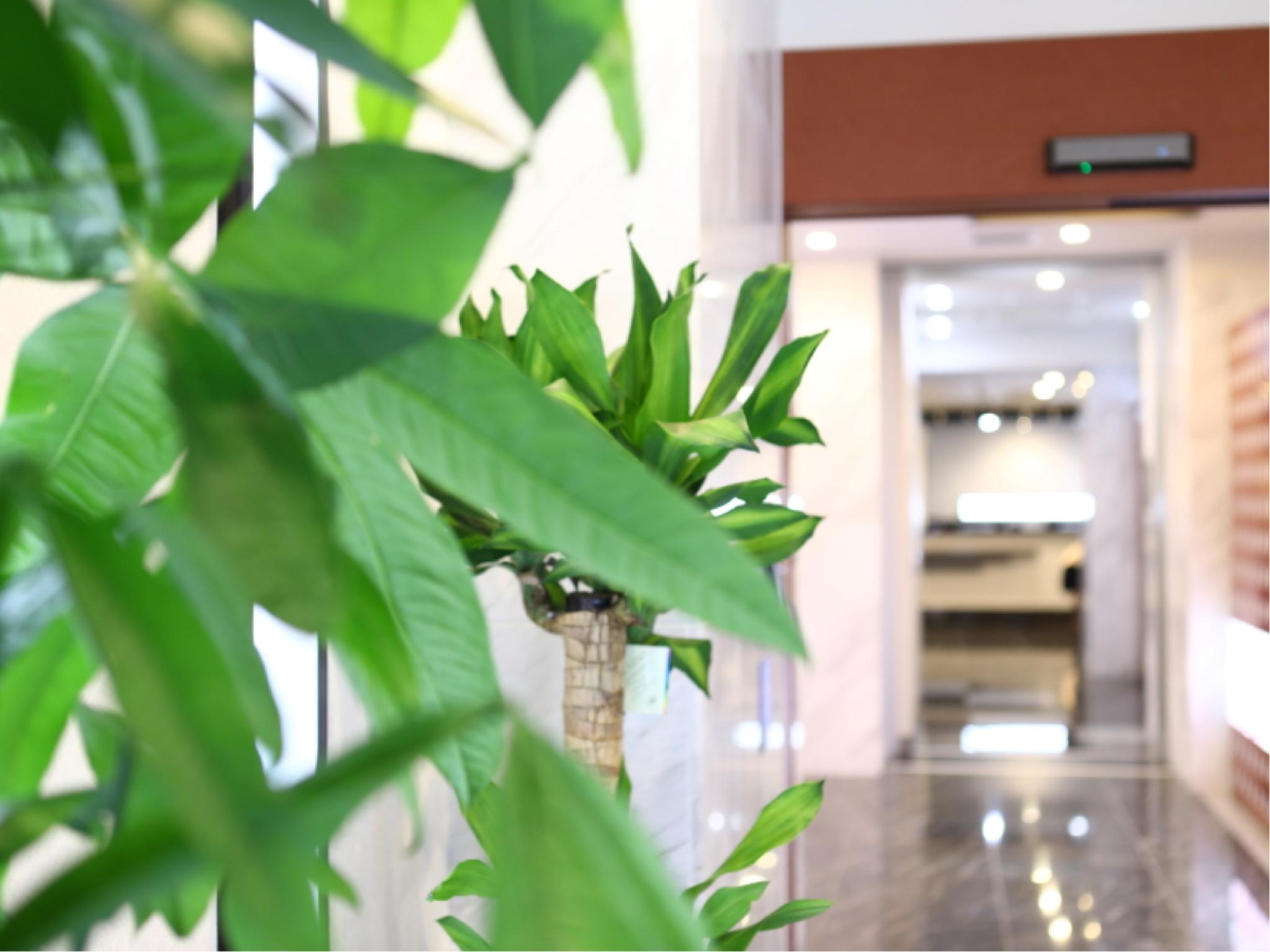 This is the image of the Hotel Wing International Select Ueno Okachimachi #1