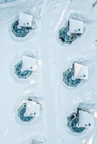 This is the image of the Arctic Fox Igloos #1