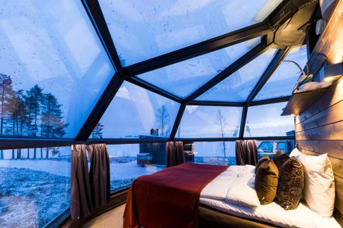 This is the image of the Arctic Fox Igloos #5