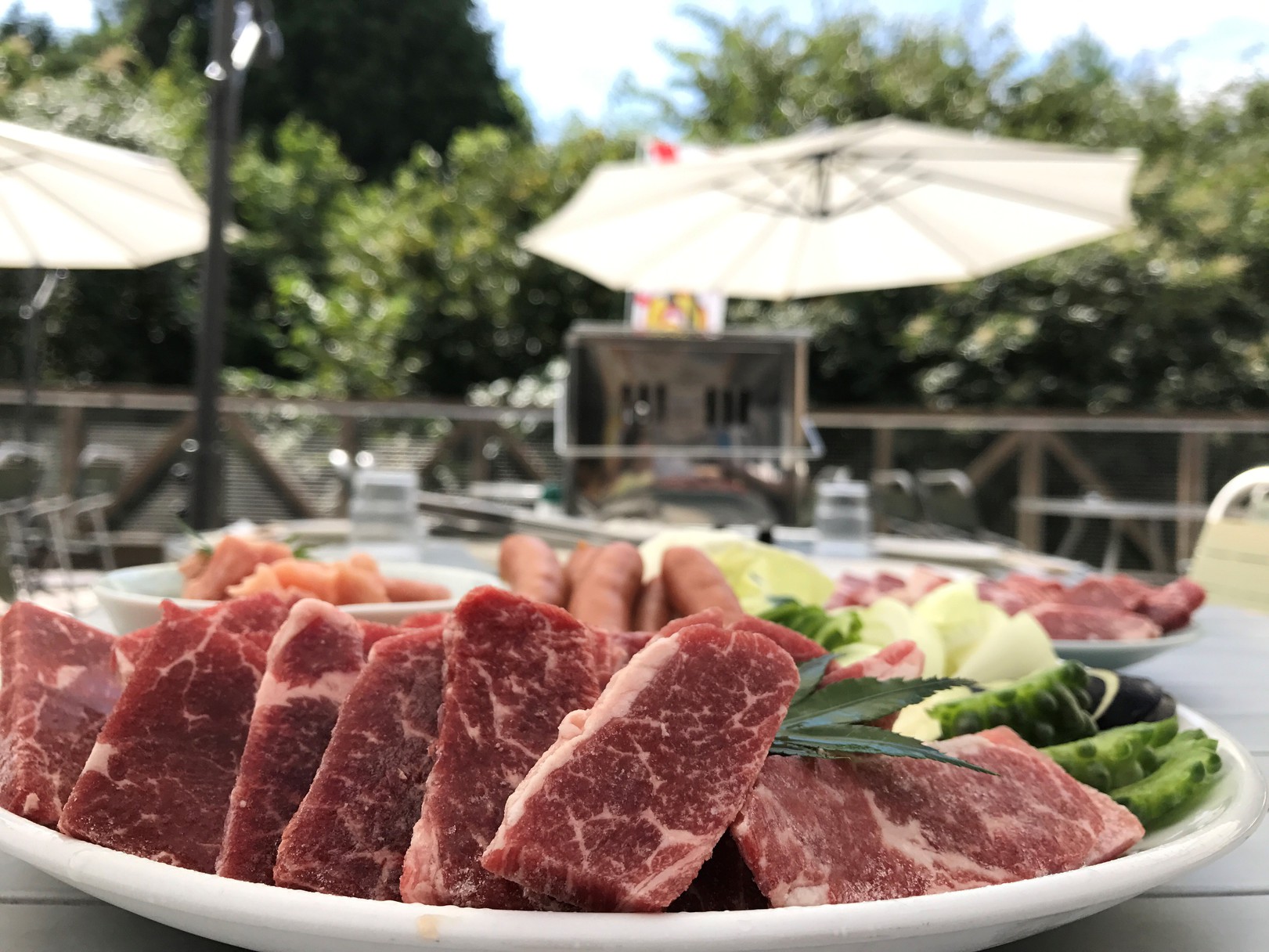 This is the image of the Azalea Chiyoda #3