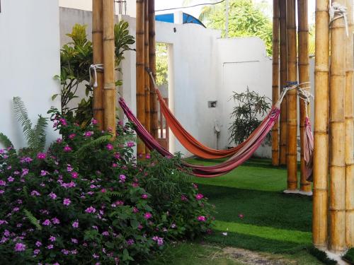 This is the image of the Gran Hostal Tintorera #3