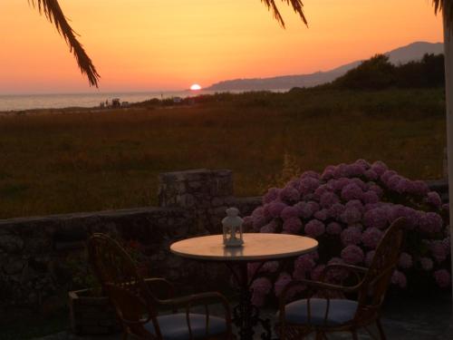 This is the image of the Niko Hotel #1