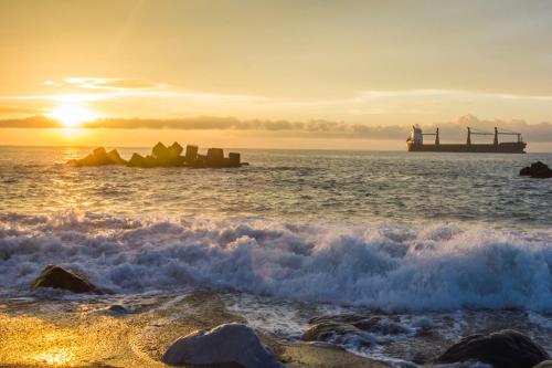 This is the image of the Whale Come Home #3