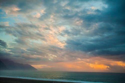 This is the image of the Whale Come Home #2