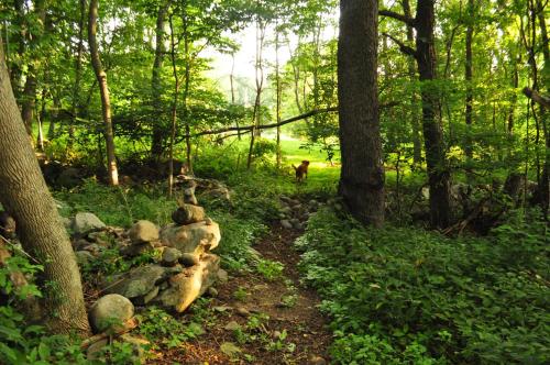 This is the image of the Cider Mill Inn Bed and Breakfast #3