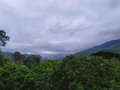 This is the image of the Ozone Hotel Khaoyai #4