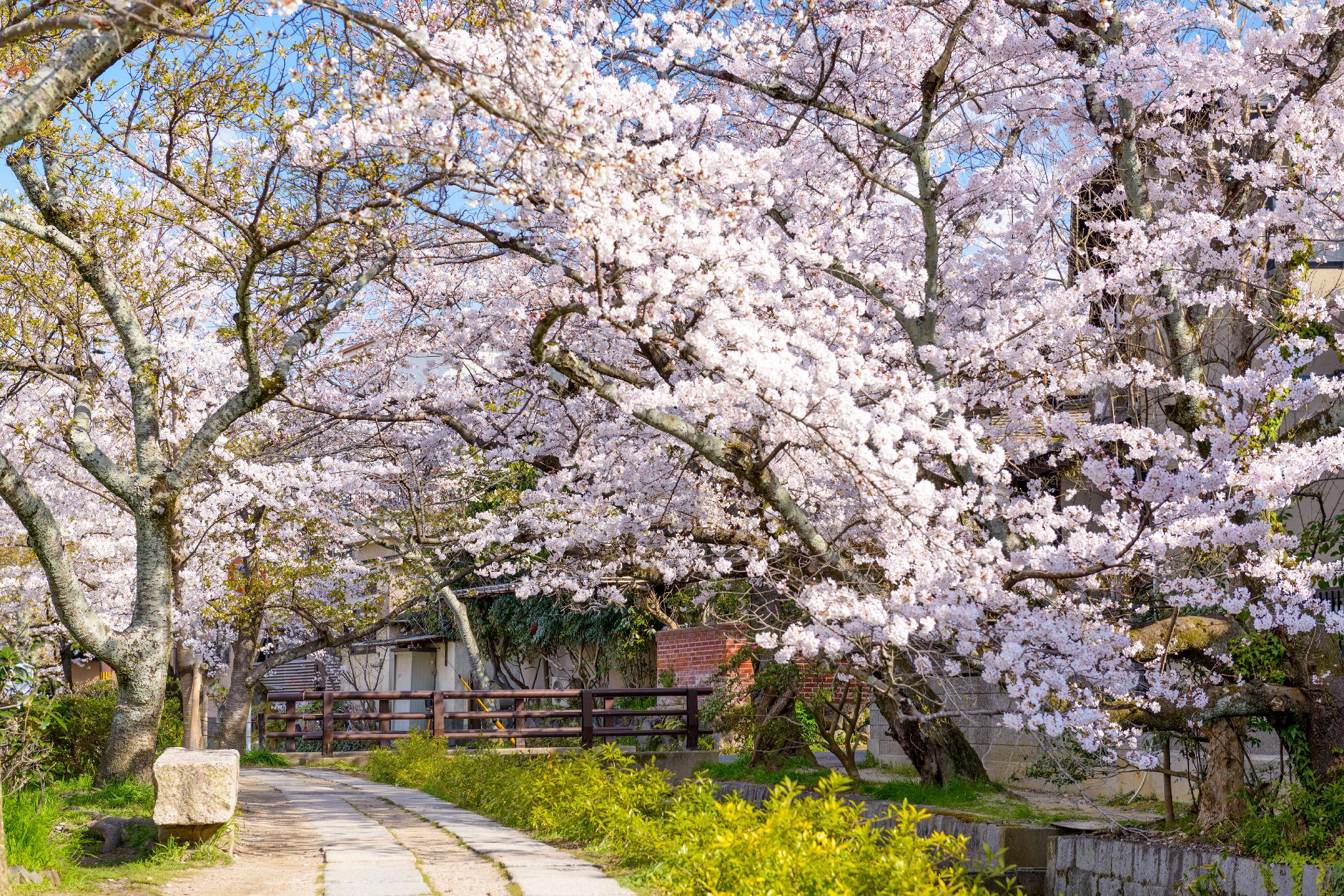 This is the image of the Kyo Cottage Machico Mibu #1
