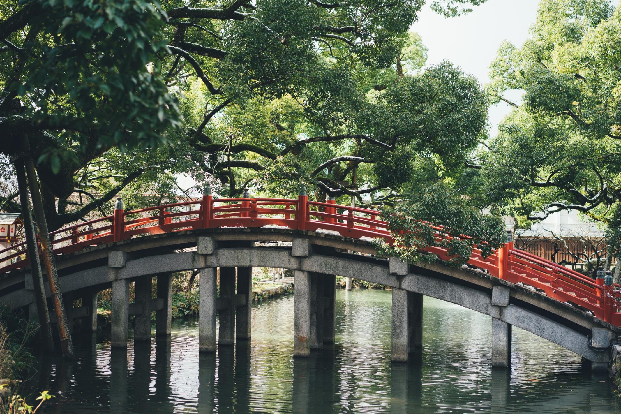 This is the image of the Business Hotel Elcasa Minamifukuoka #3