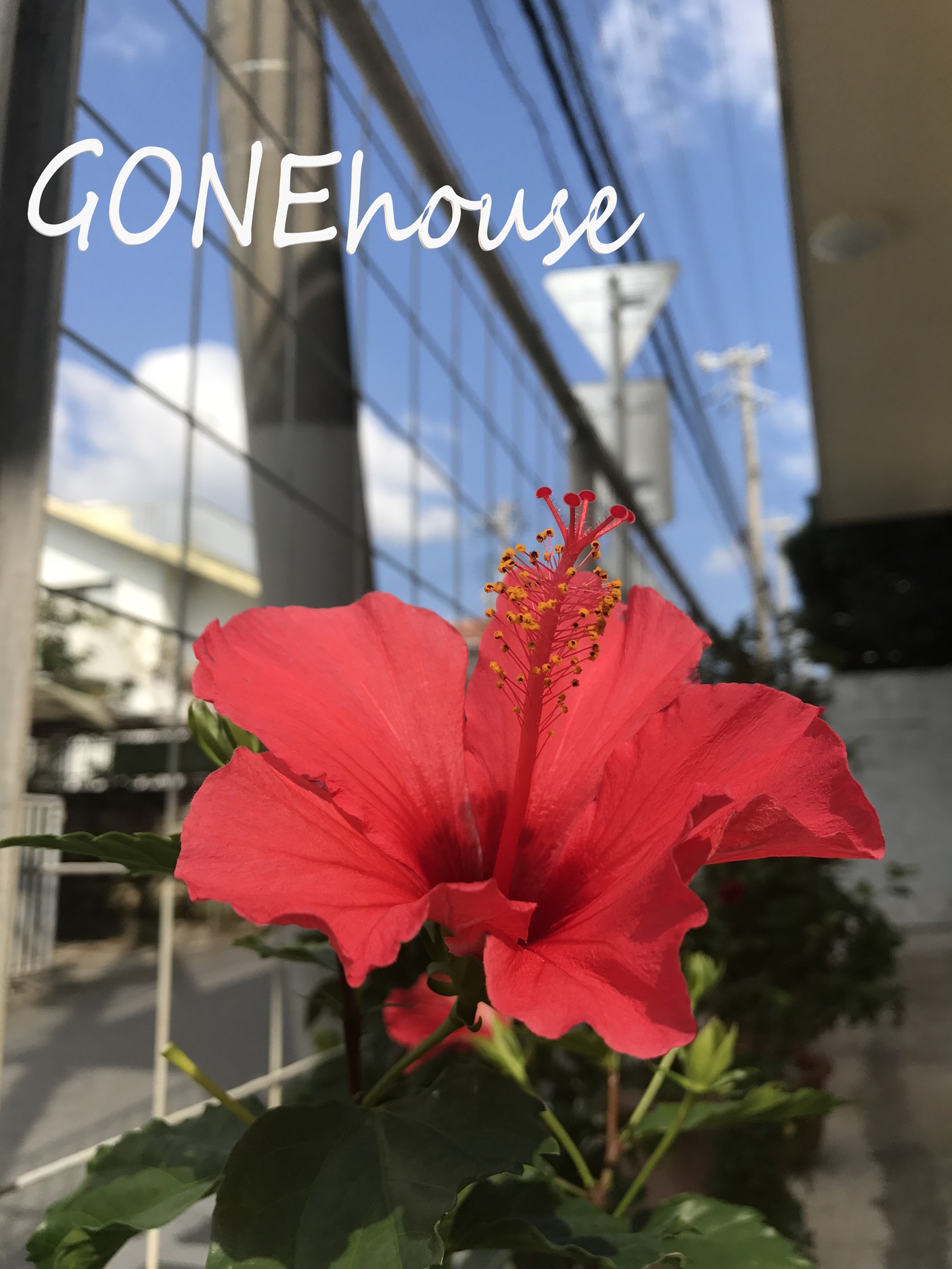 This is the image of the Gone House #1