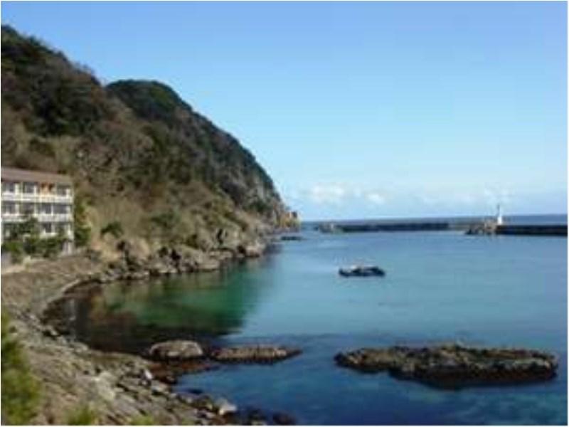 This is the image of the Okukinosaki Seaside Hotel #1
